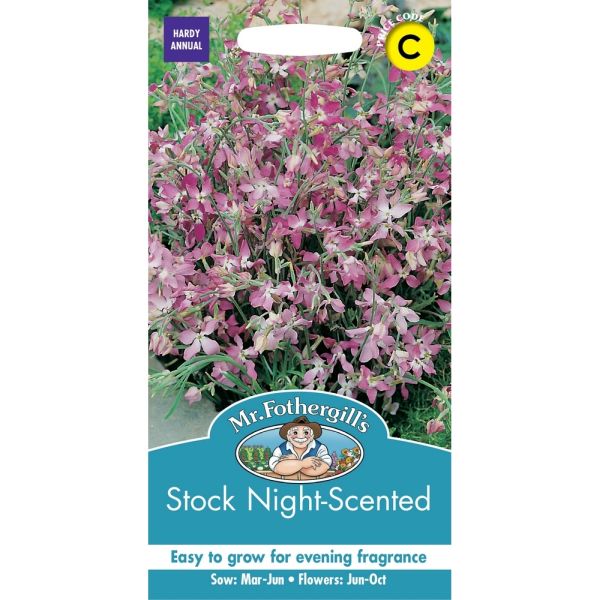 Stock Night Scented Seeds